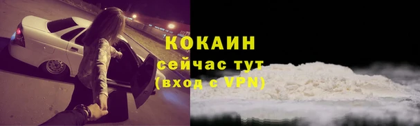 соль ск Алексин