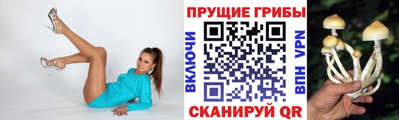 Псилоцибиновые грибы GOLDEN TEACHER купить закладку Любим